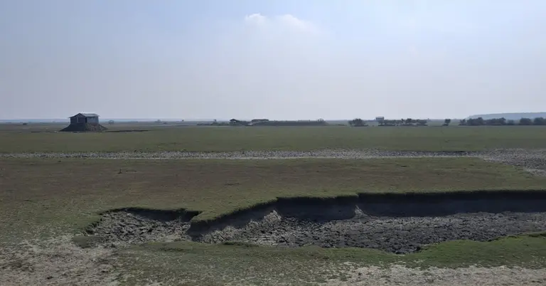 জাগলারচর এলাকা